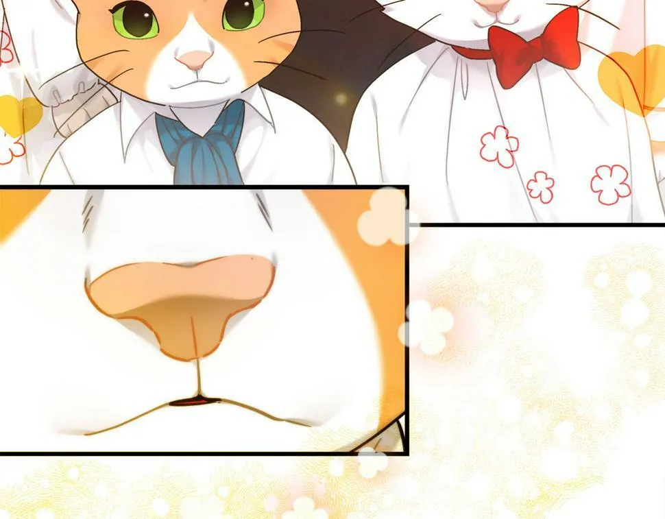 第31话 猫人搓澡 第12页