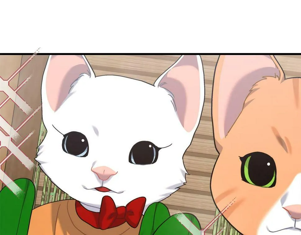第31话 猫人搓澡 第69页