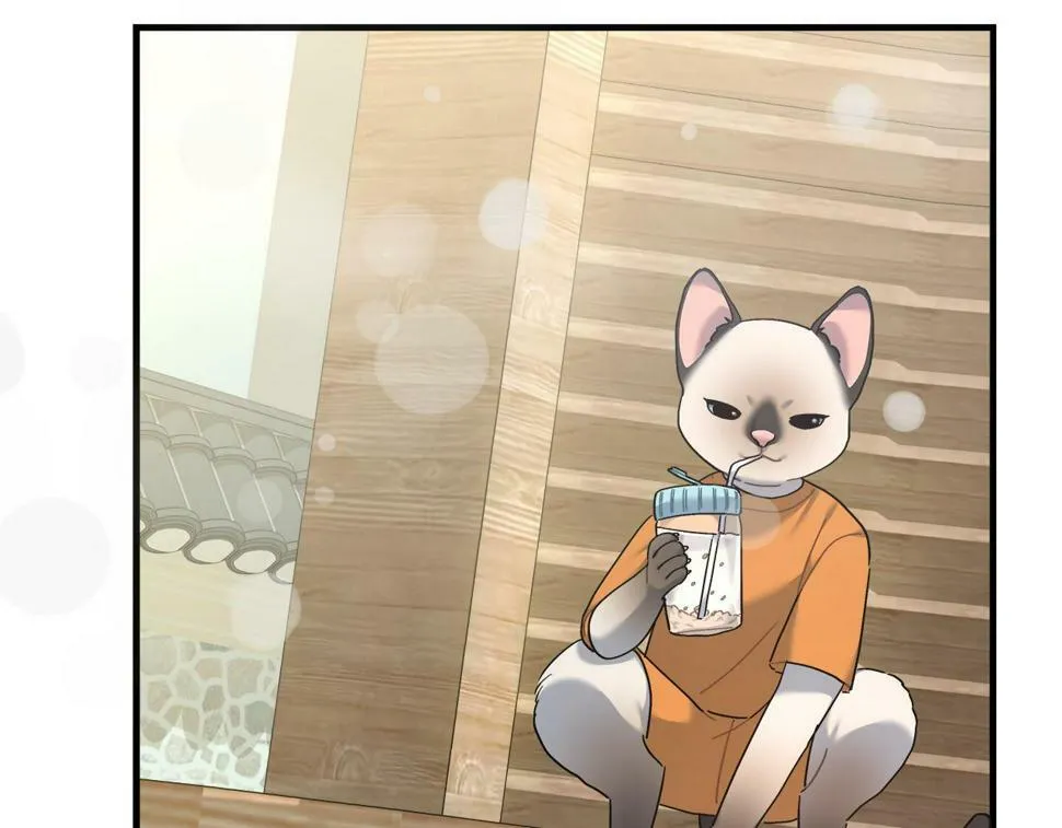 第31话 猫人搓澡 第160页