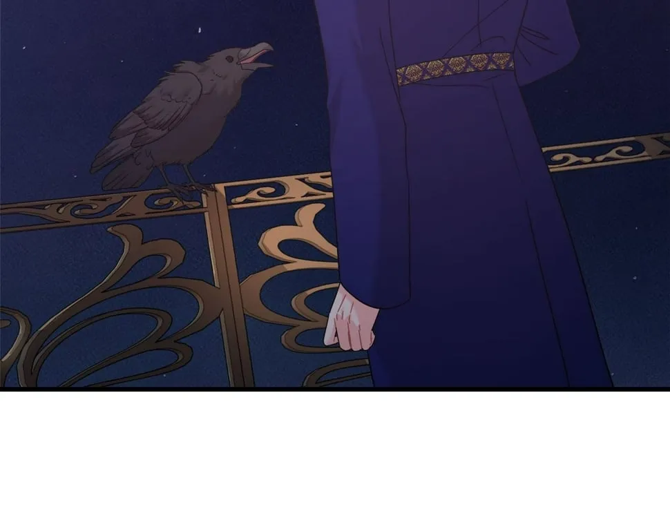 第32话 白乌鸦 第168页