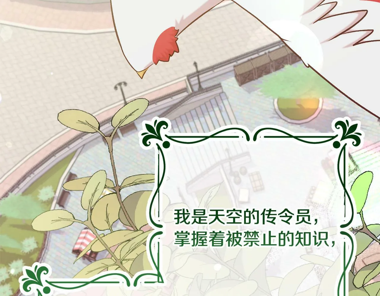 第12话 守护天使是只鸟？！ 第67页