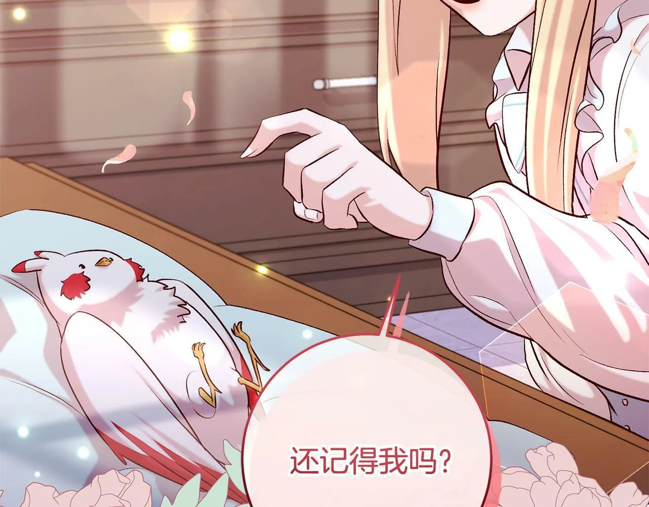 第12话 守护天使是只鸟？！ 第160页