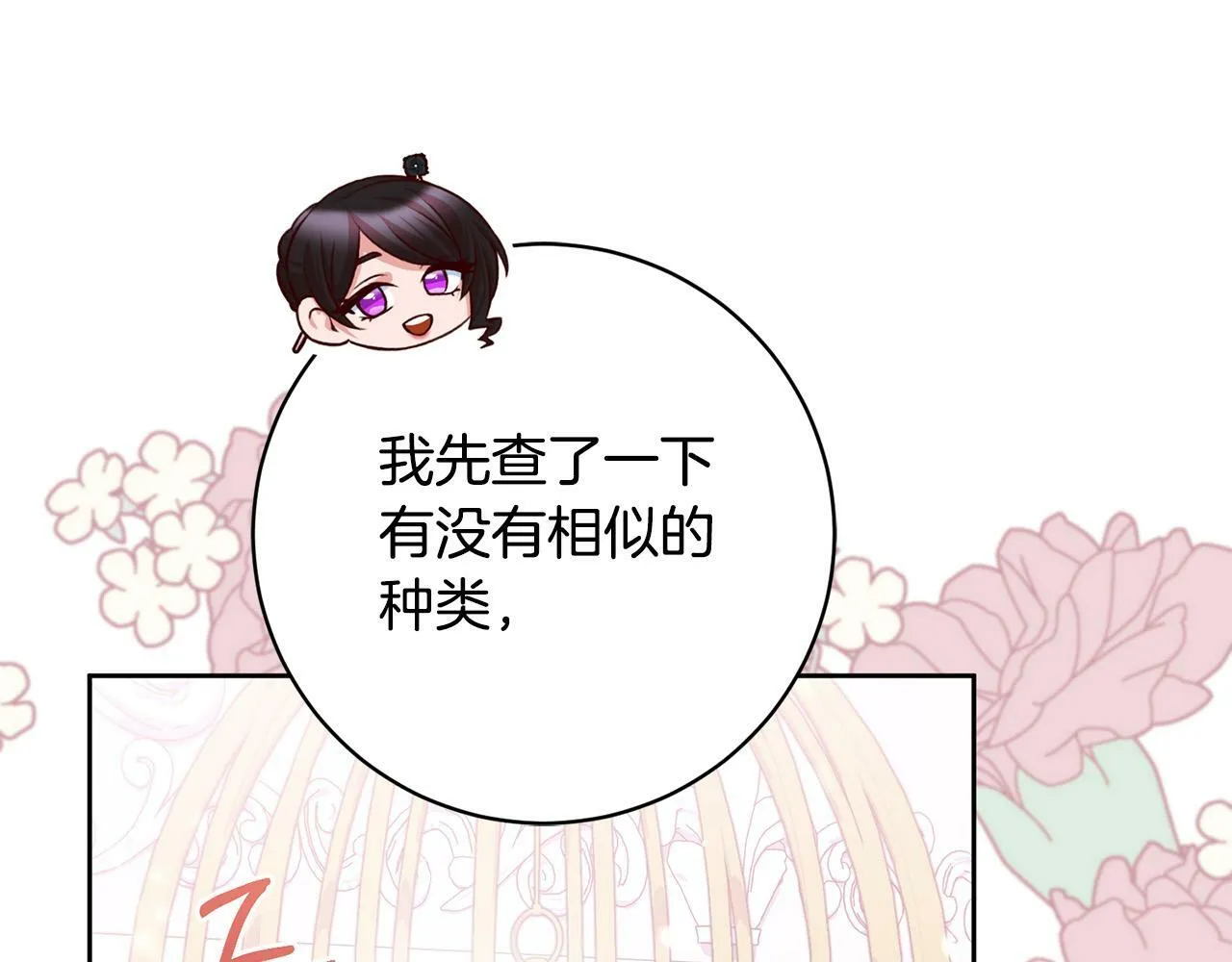 第26话 我只教拉提娅 第177页