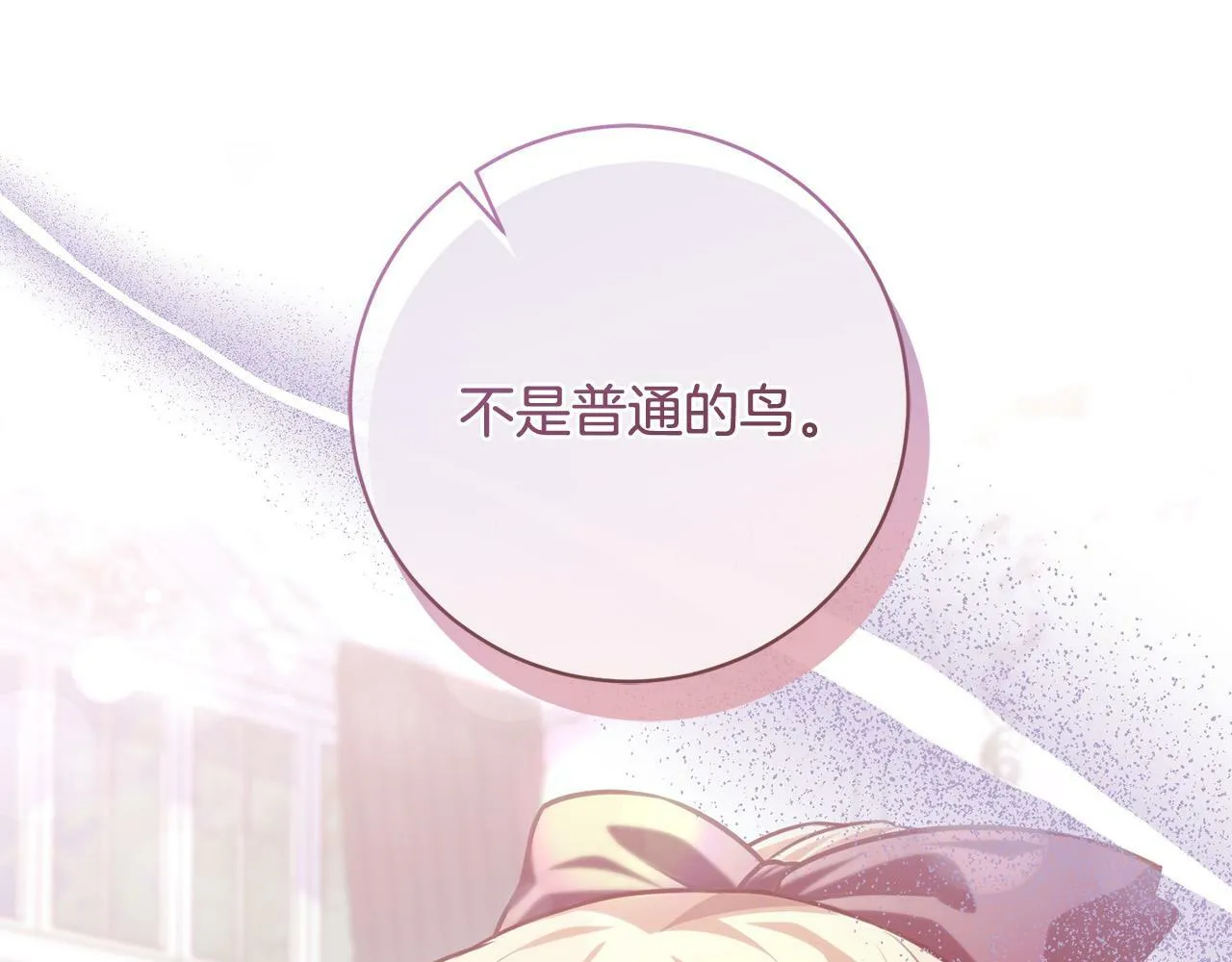 第27话 我的鸟是天使？ 第4页