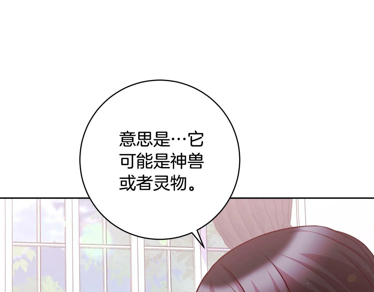 第27话 我的鸟是天使？ 第20页