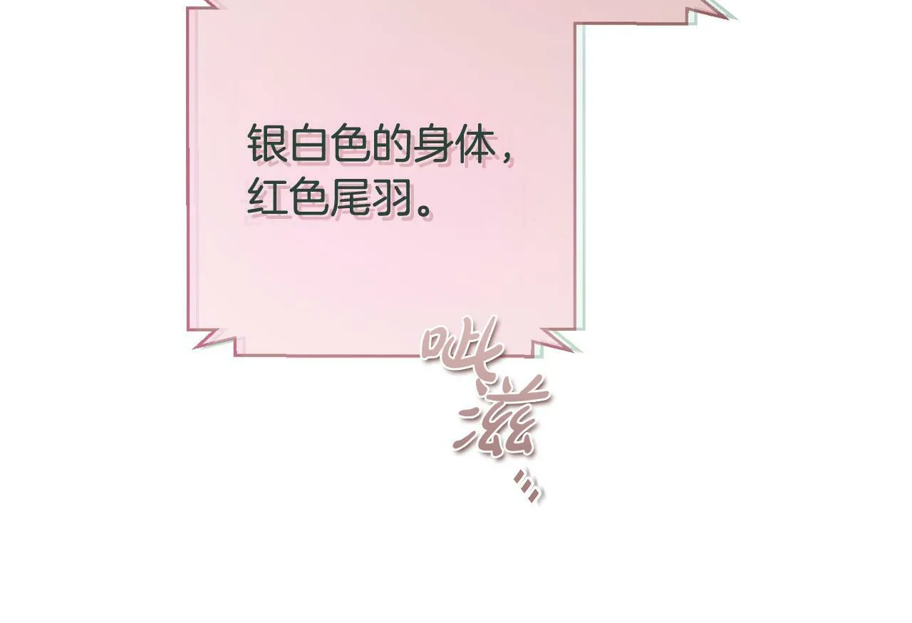 第27话 我的鸟是天使？ 第74页