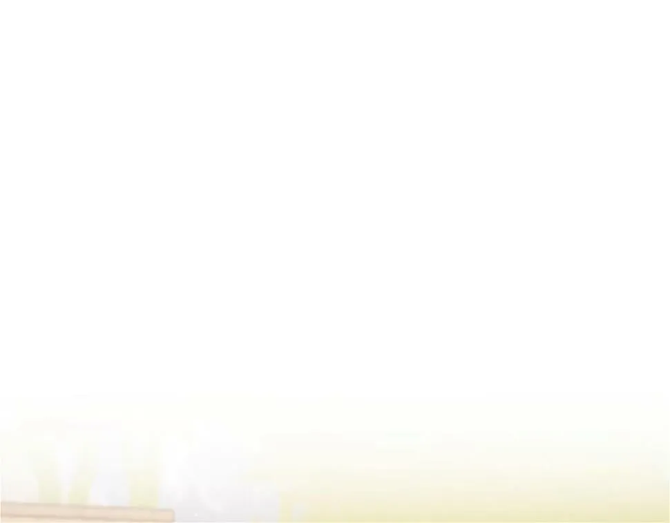 第28话 真正的家人 第206页