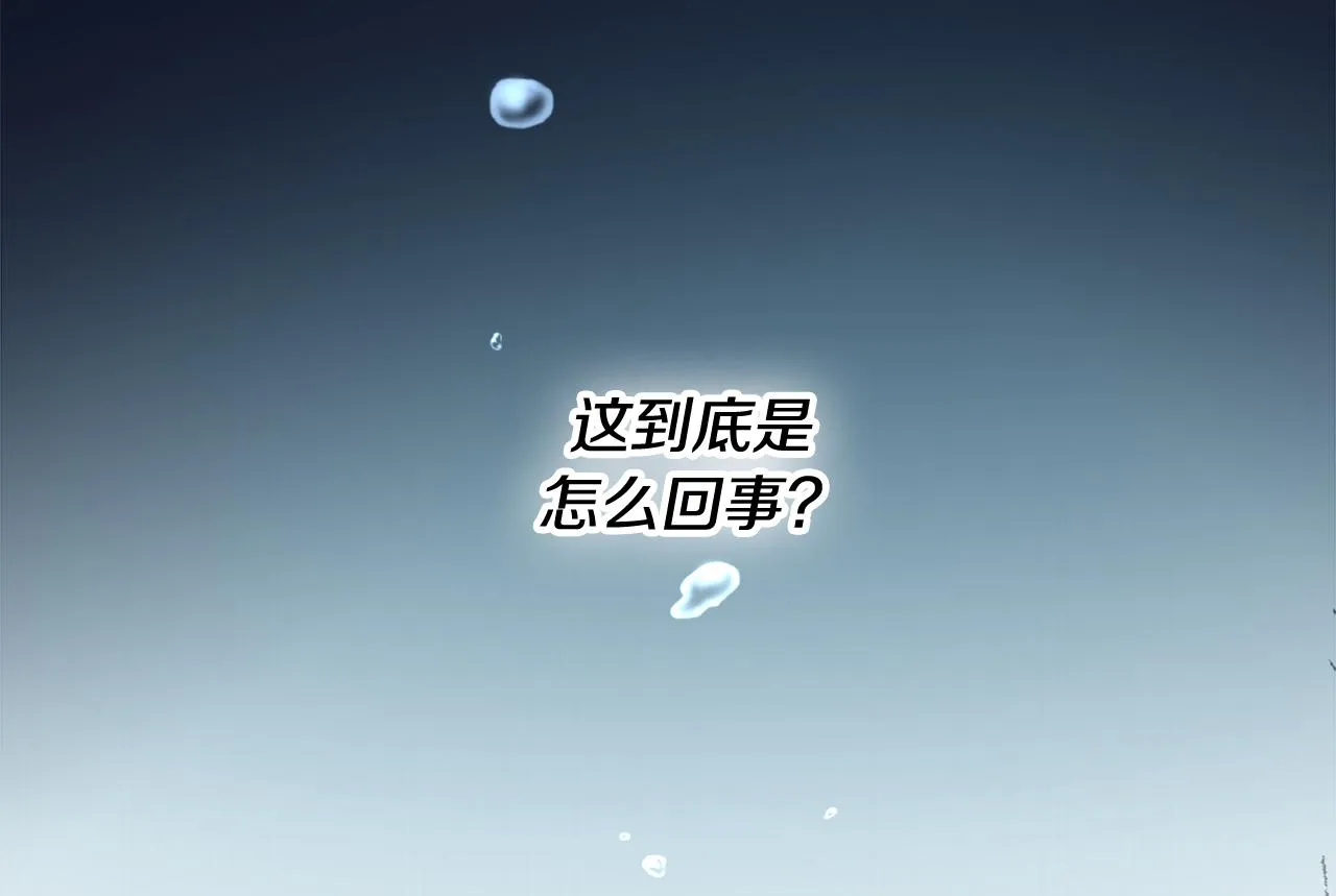 第1话 被诅咒的女巫 第14页