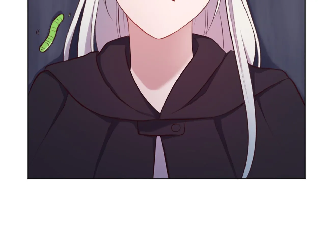 第5话 寻找魔法书 第24页