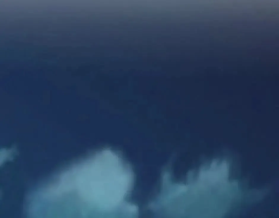第139话 逃离火灾 第114页