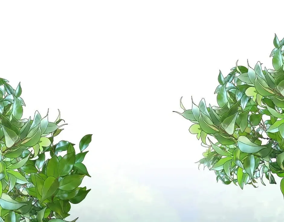 第143话 怒意 第169页