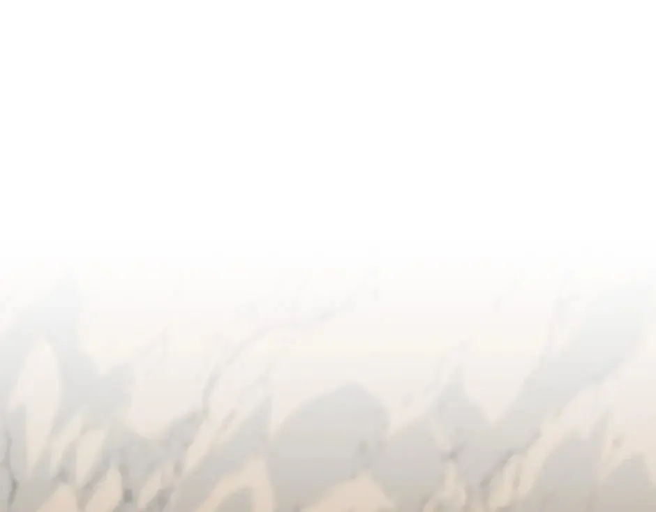 第161话 对策 第5页
