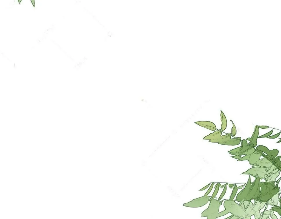 第六话 森林海底 第2页