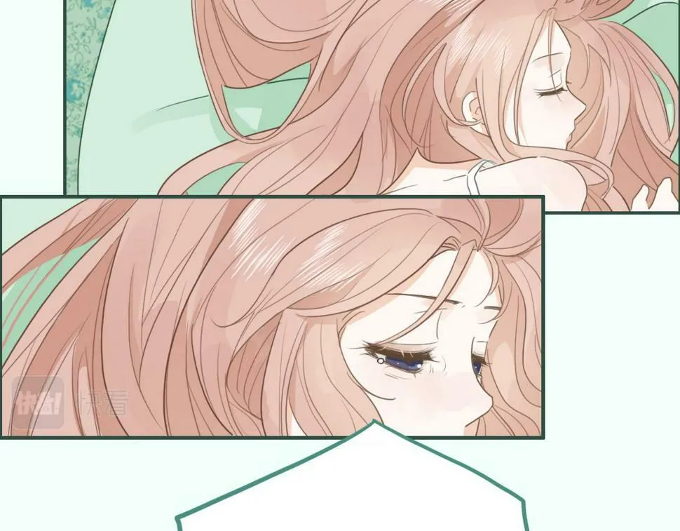 第六话 森林海底 第11页