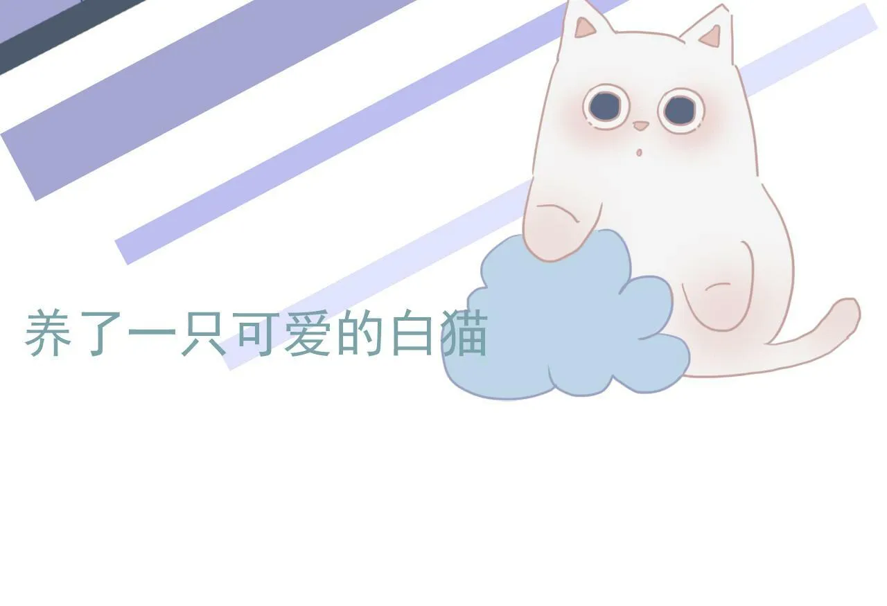 人物档案 第13页