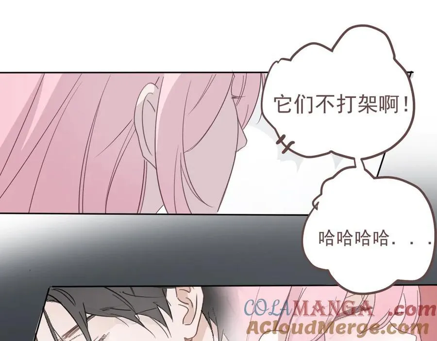 48 错过 第16页