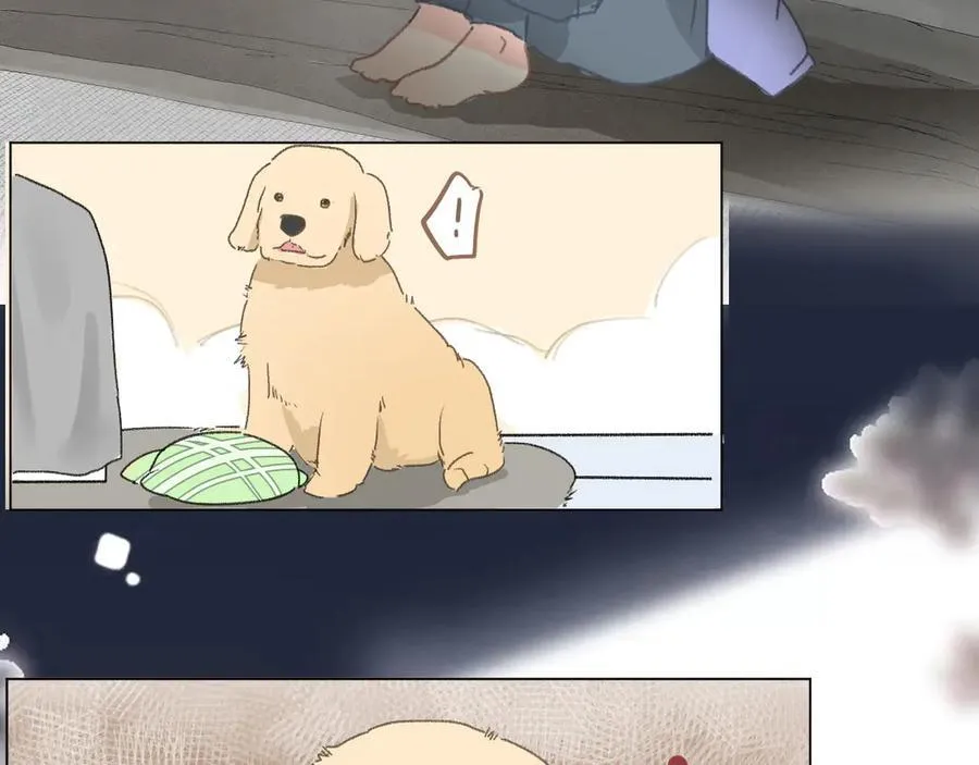 48 错过 第51页