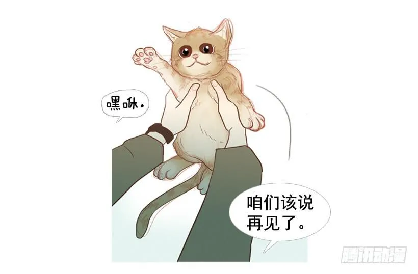 我帮不了你 第50页