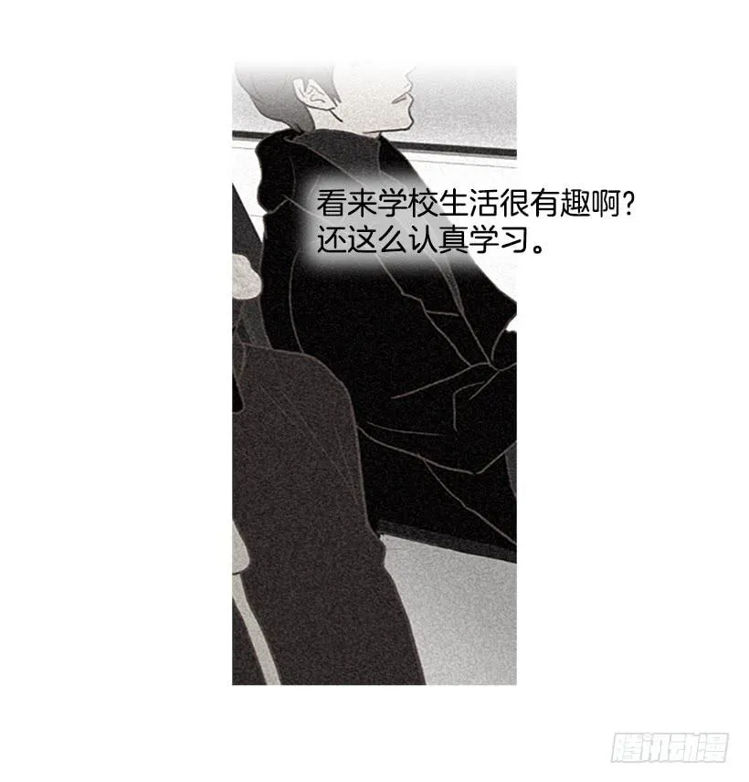 完美的儿子 第37页