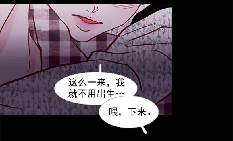他是个冷血动物 第3页