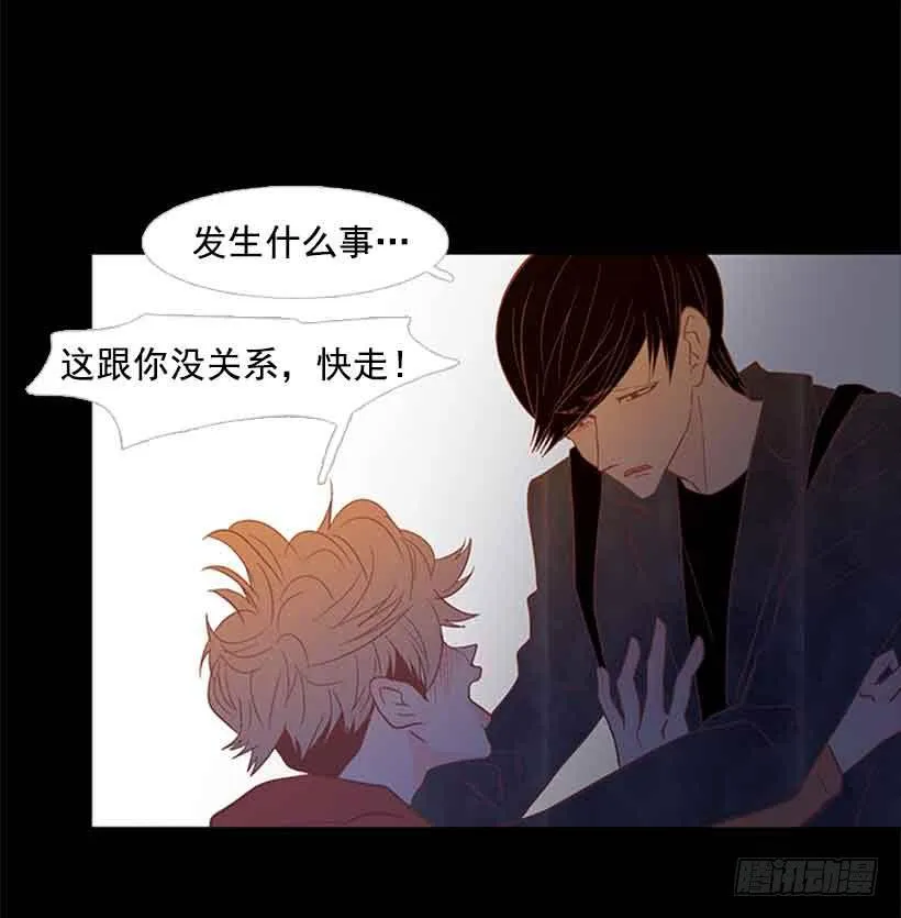 没有第三个选项 第42页