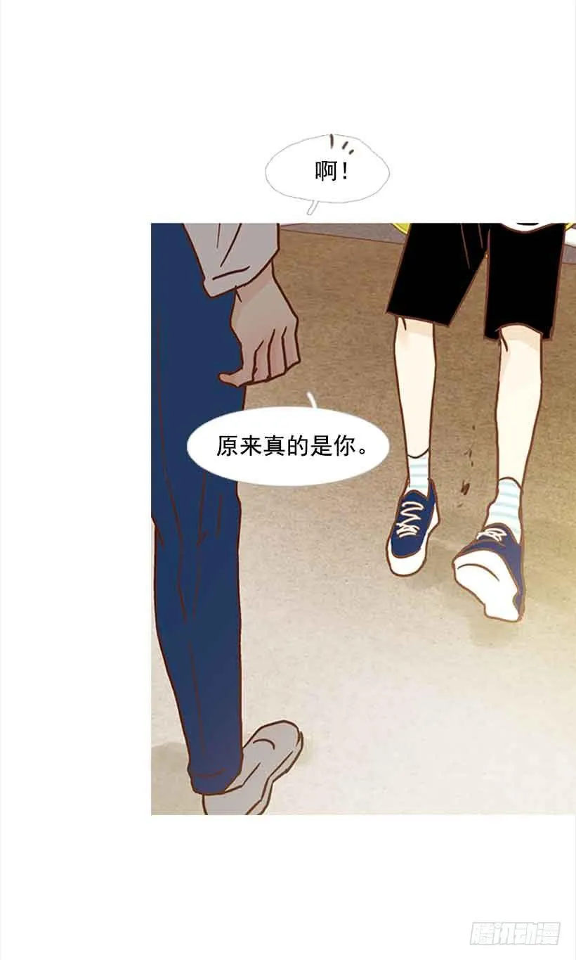 错的人是我 第38页