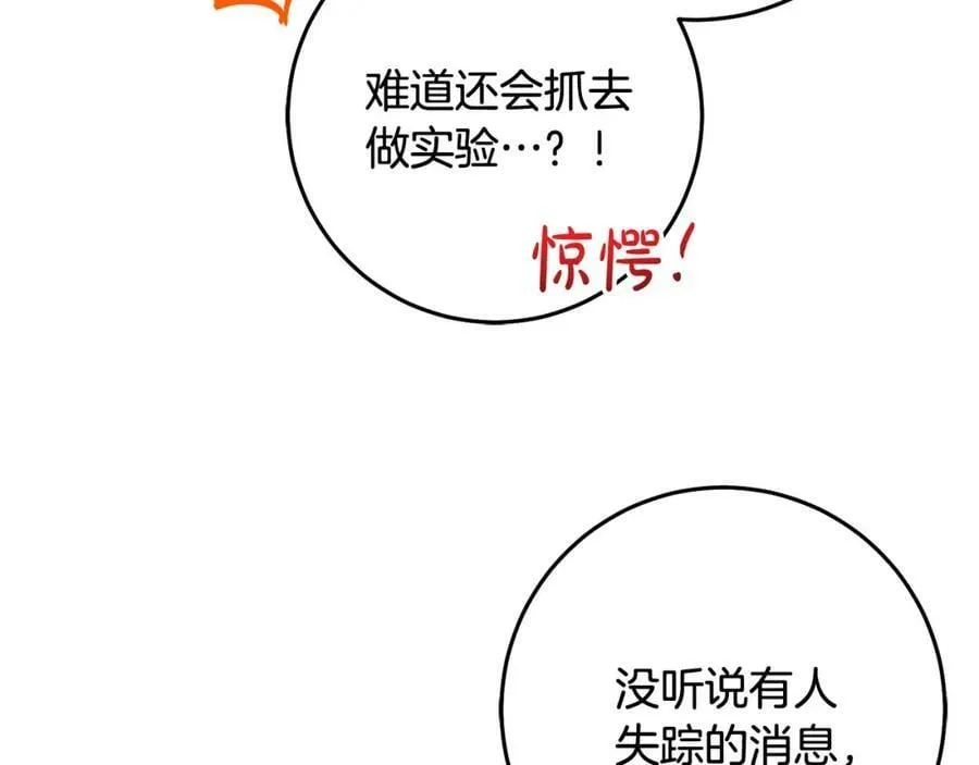 第66话 寻找实验根据地 第162页