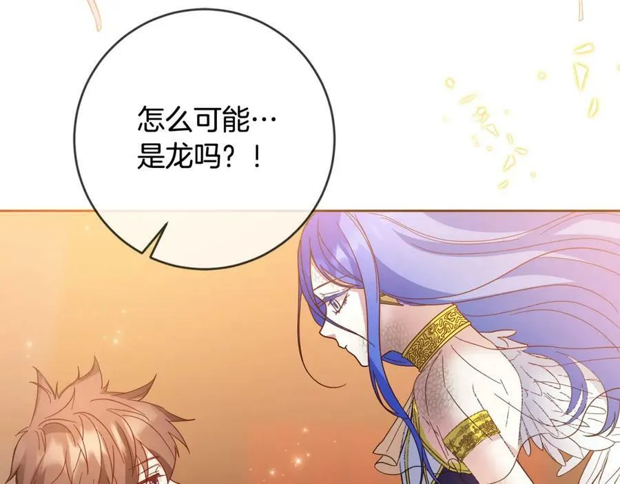 第72话 赞助马戏团 第62页