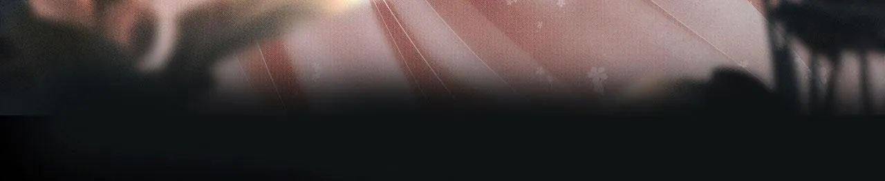 第69话 消失的江总 第3页