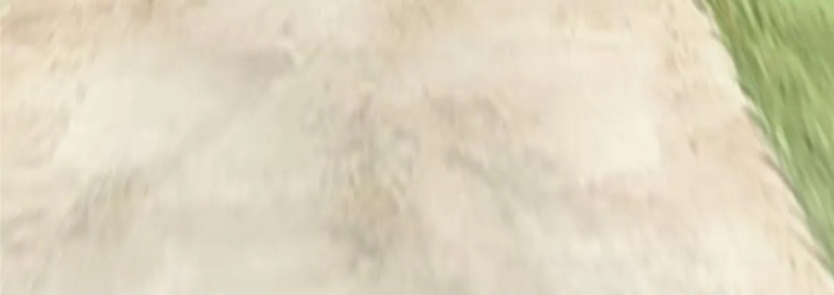 第六十五话 第18页