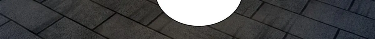第二百六十二话 第55页