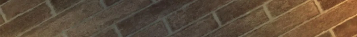 第二百六十四话 第15页