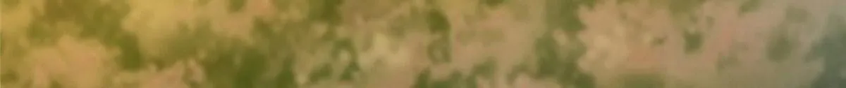 第二百七十话 第96页
