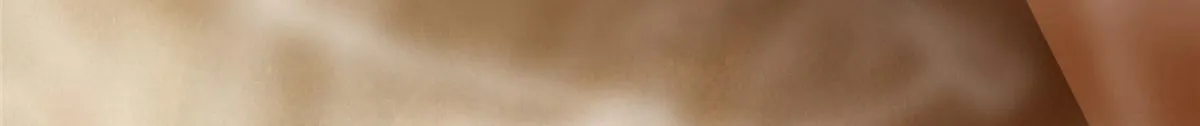 第二百八十九话 第51页