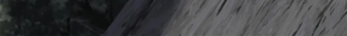 第三百一十六话 第71页