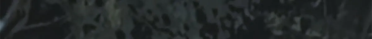 第三百一十六话 第80页
