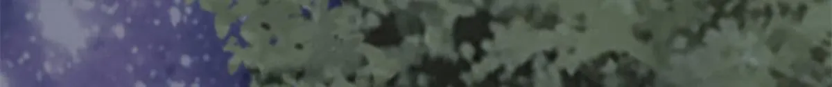 第三百二十四话 第59页