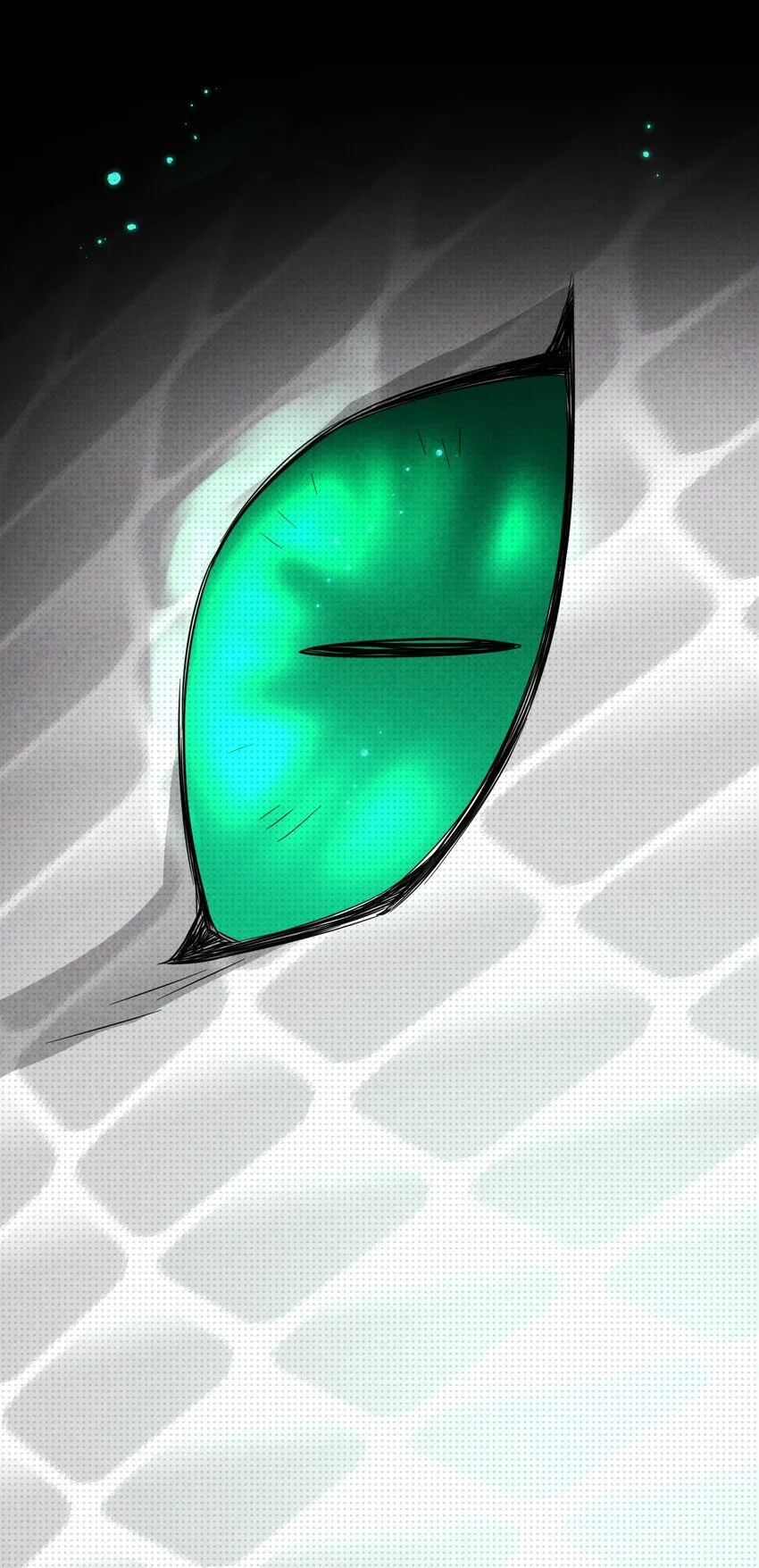 016 去五羊观吧 第59页