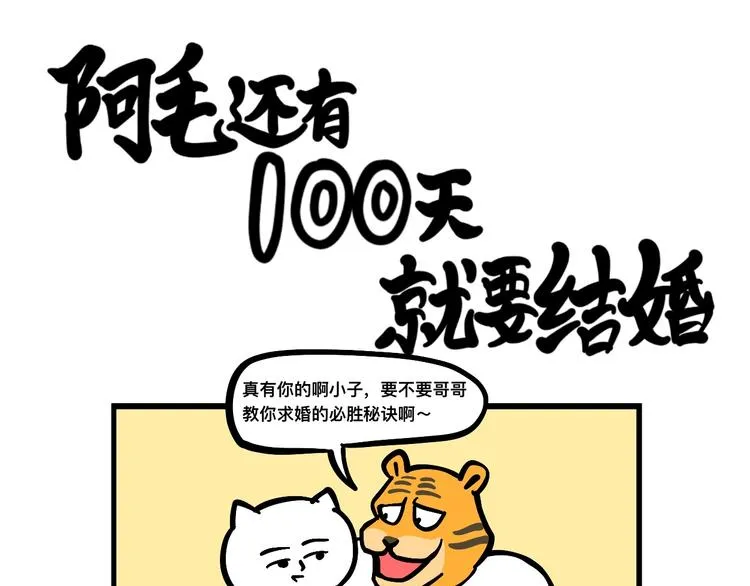 阿毛终于要结婚了！ 第1页