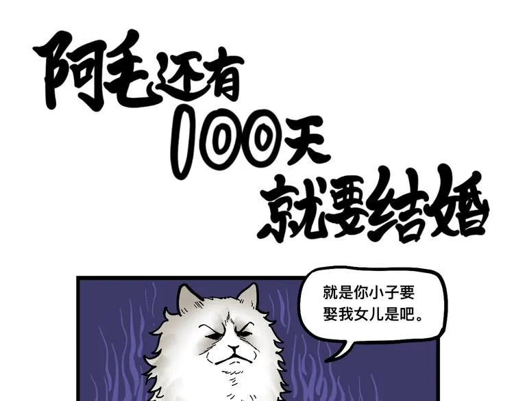 阿毛终于要结婚了！ 第14页