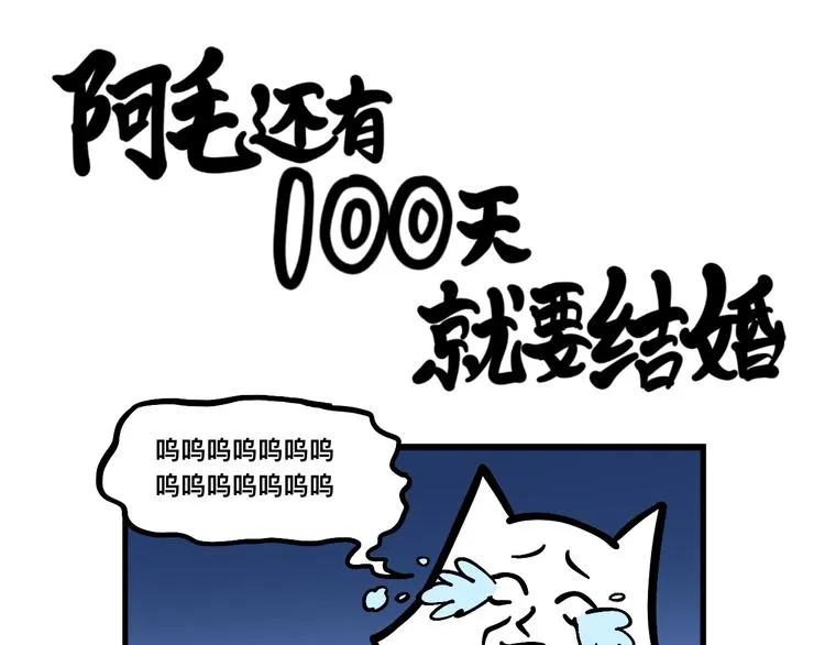 阿毛终于要结婚了！ 第19页