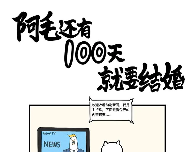 阿毛终于要结婚了！ 第44页