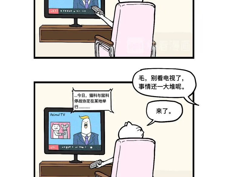阿毛终于要结婚了！ 第45页