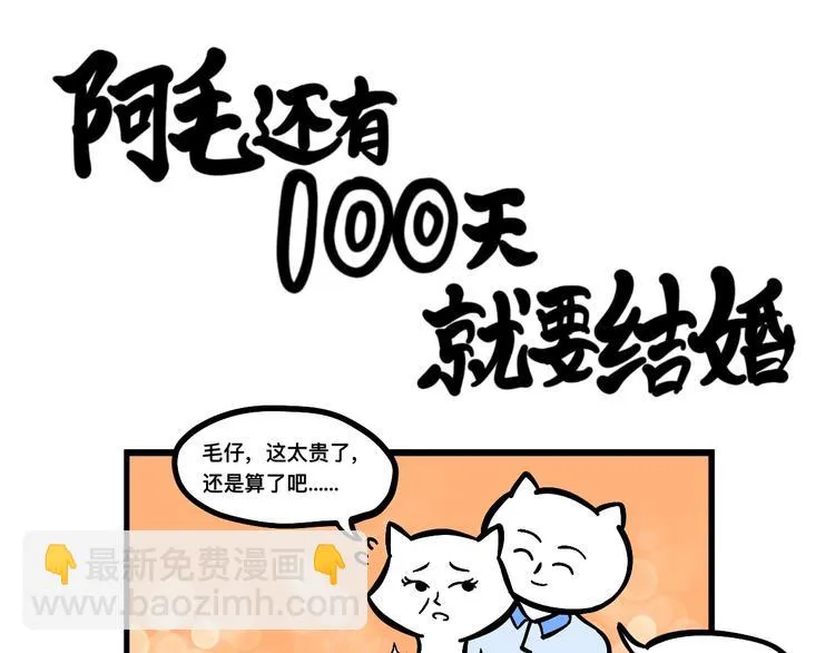 阿毛的改变 第11页