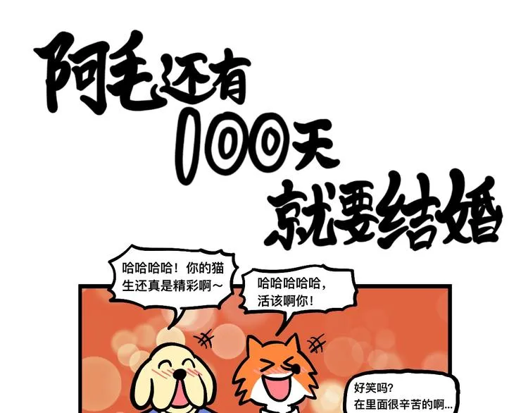 阿毛的狱中生活 第42页