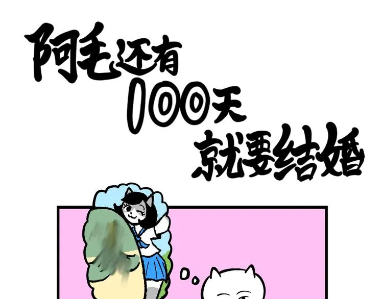 阿毛丧鸽为何决裂？！ 第1页