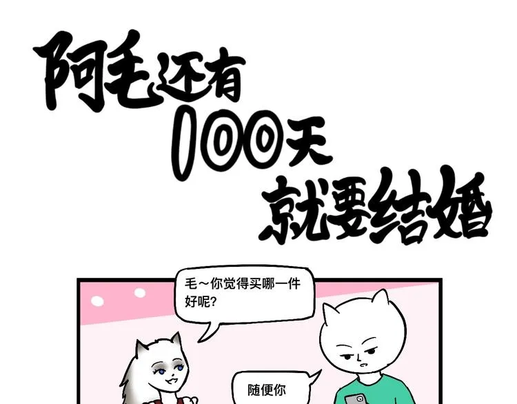 阿毛丧鸽为何决裂？！ 第11页