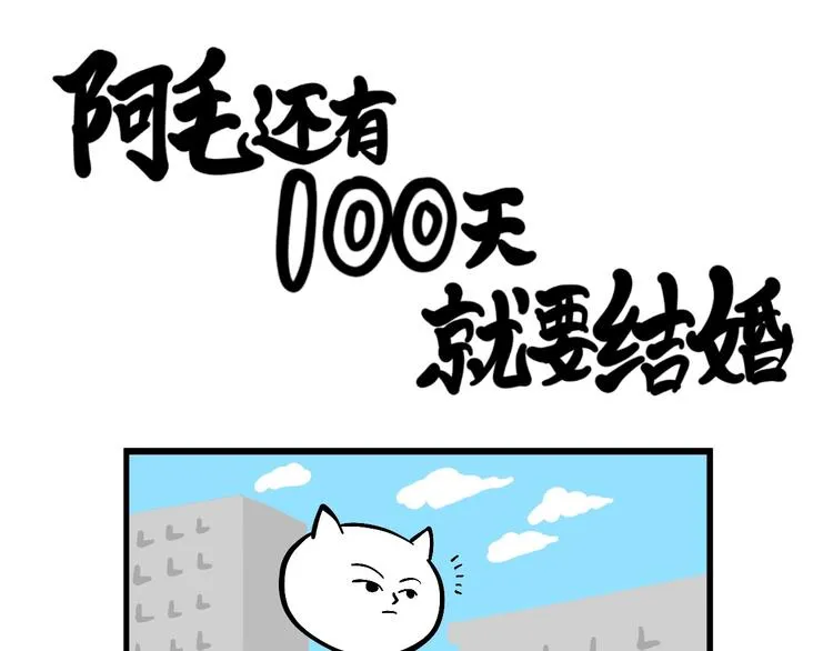 阿毛丧鸽为何决裂？！ 第16页