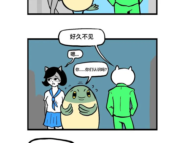 阿毛丧鸽为何决裂？！ 第18页