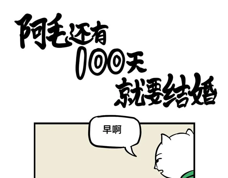 阿毛丧鸽为何决裂？！ 第21页